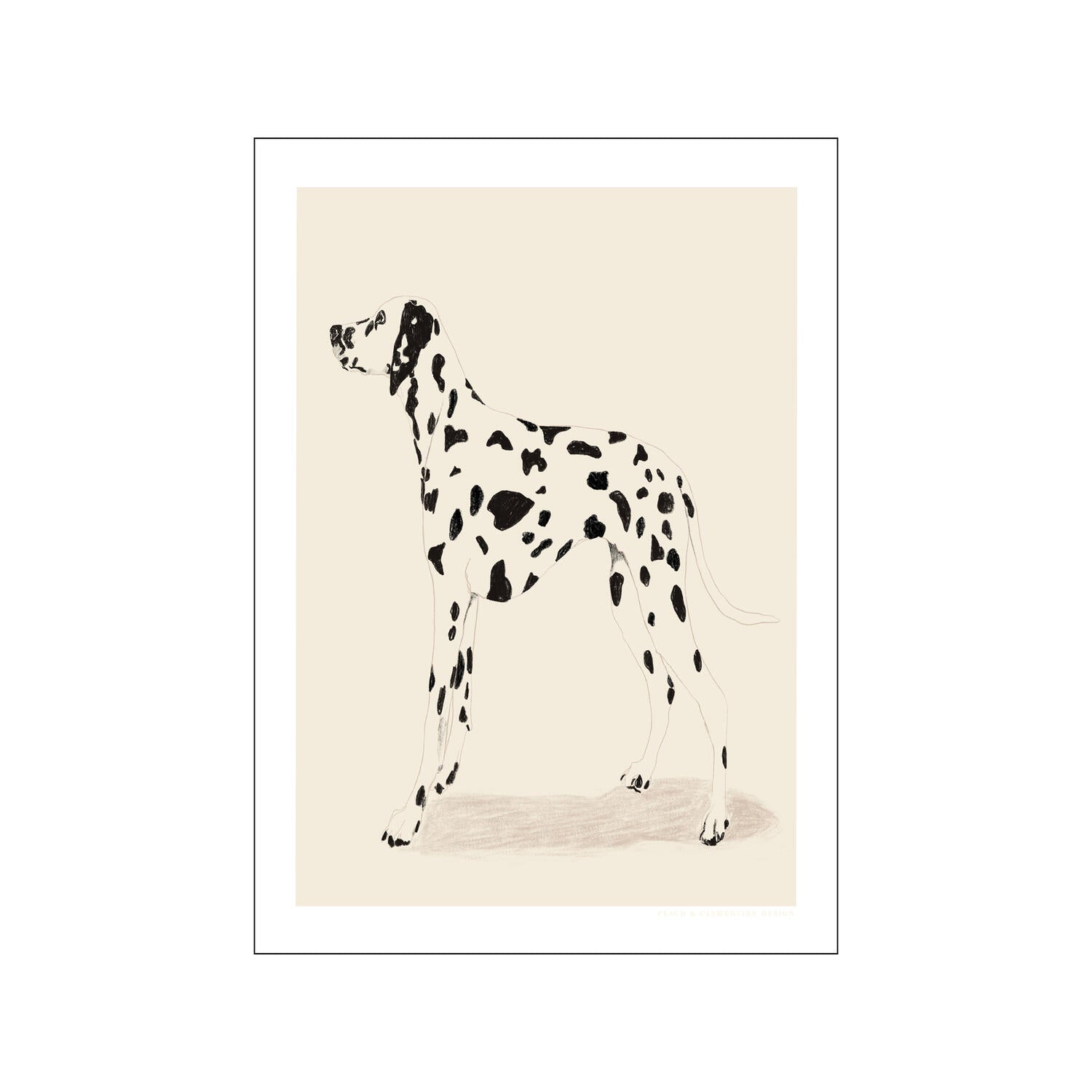 Dalmation plakat - 50 x 70 cm